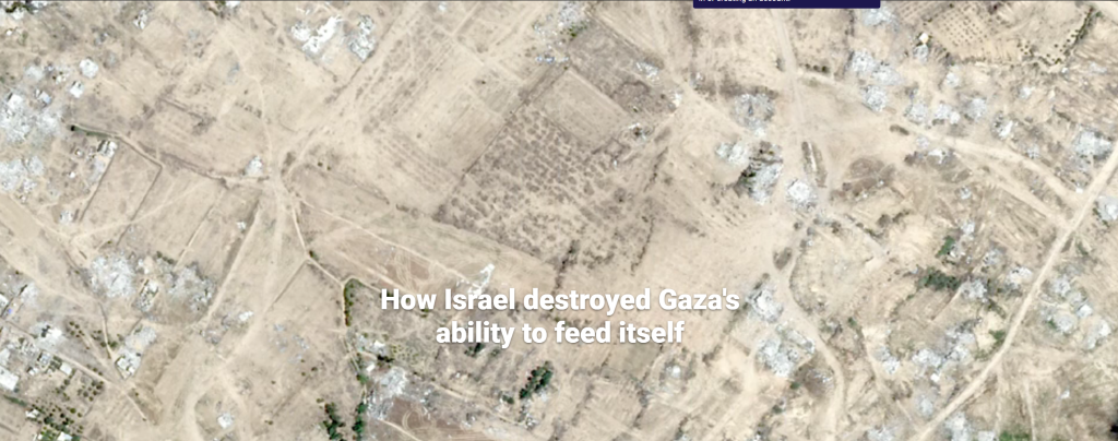 gaza durante la guerra